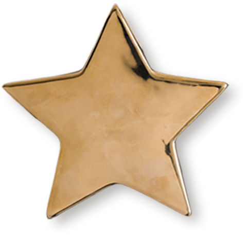 Gold Star Isolated on White